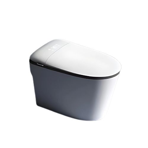 Intelligent Toilet – 6303