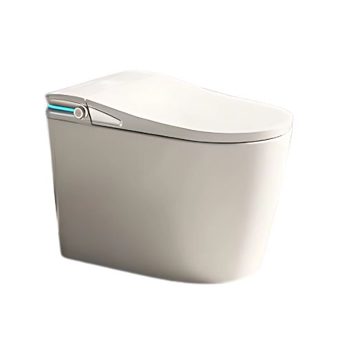 Intelligent Toilet – 6306