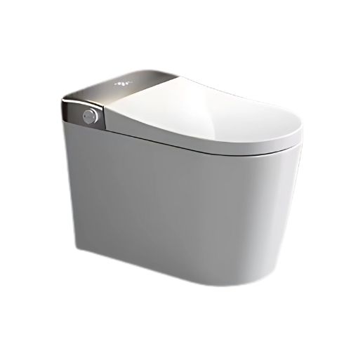 Intelligent Toilet – 6602