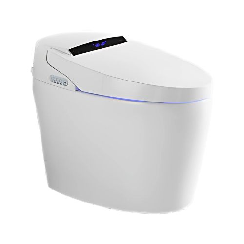 Intelligent Toilet – 6652