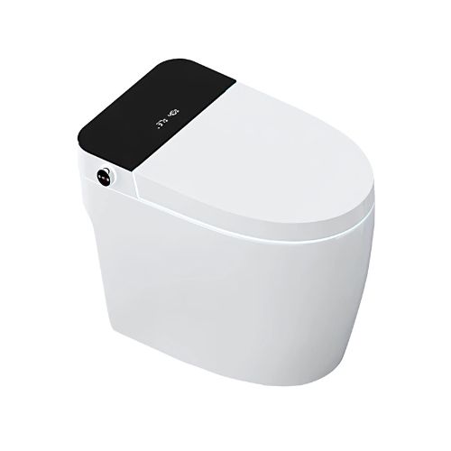 Intelligent Toilet – 6672