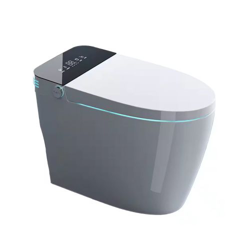 Intelligent Toilet – 6680