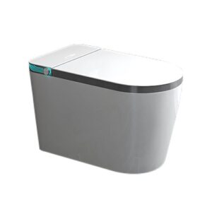 Intelligent Toilet - 6698