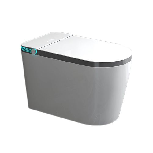 Intelligent Toilet – 6698