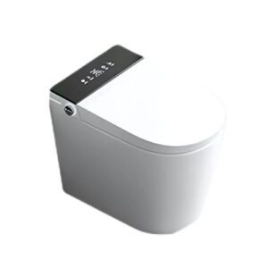 Intelligent Toilet - 953