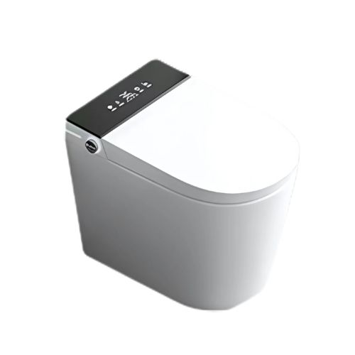 Intelligent Toilet – 953
