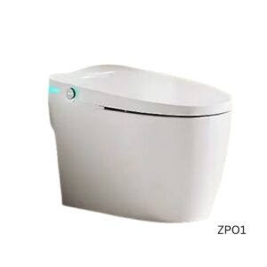 Air Powered Toilet - ZP01