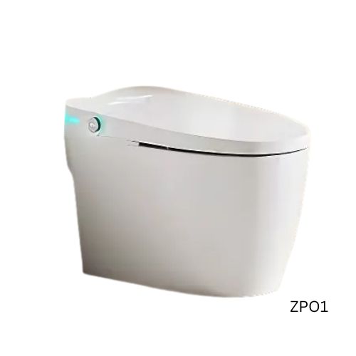 Air Powered Toilet – ZP01