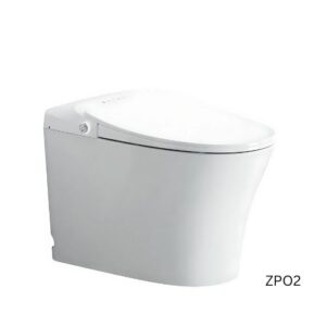 Air Powered Toilet - ZP02