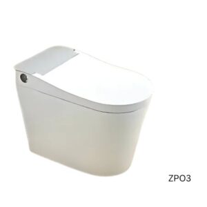 Air Powered Toilet - ZP03