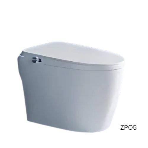 Air Powered Toilet – ZP05